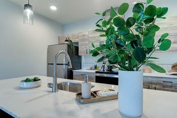 Quartz countertops